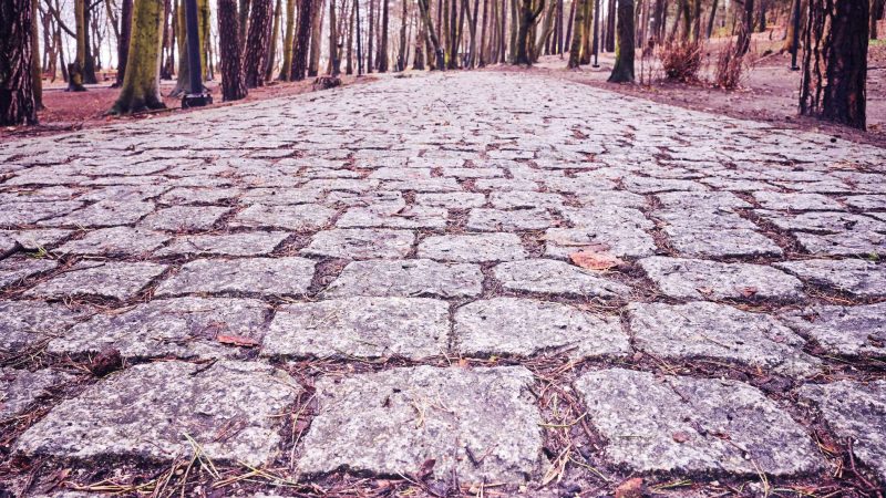 Cobblestone path