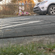 rumble strips speed bumps