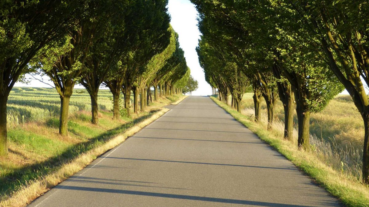 Tarmac Driveway Contractor in the UK