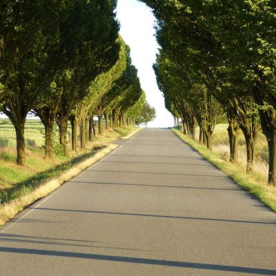 Tarmac Driveway Contractor in the UK