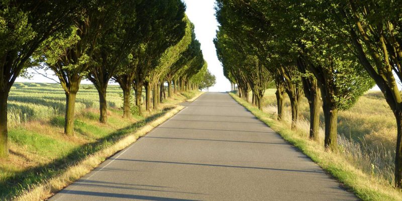 Tarmac Driveway Contractor in the UK